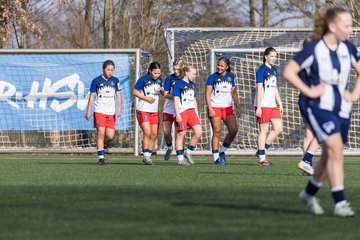 Bild 282 - wBJ Hamburger SV - Hertha BSC : Ergebnis: 2:1
